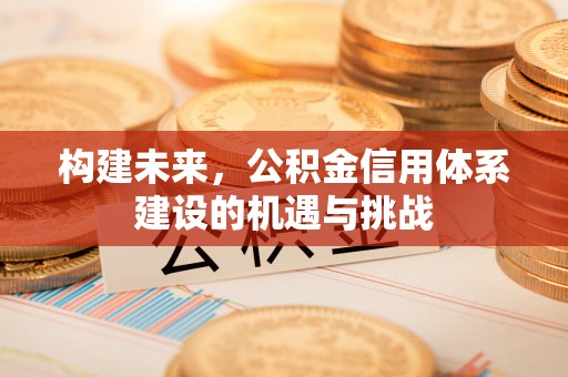 天心构建未来，公积金信用体系建设的机遇与挑战