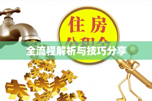 天心全流程解析与技巧分享